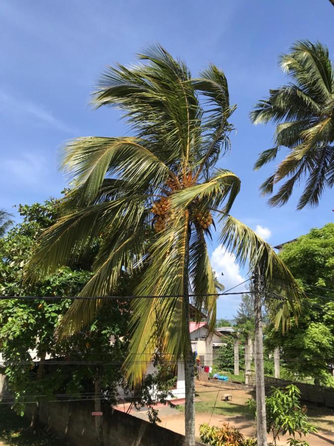 Wh Beach Resort Weligama Exteriér fotografie